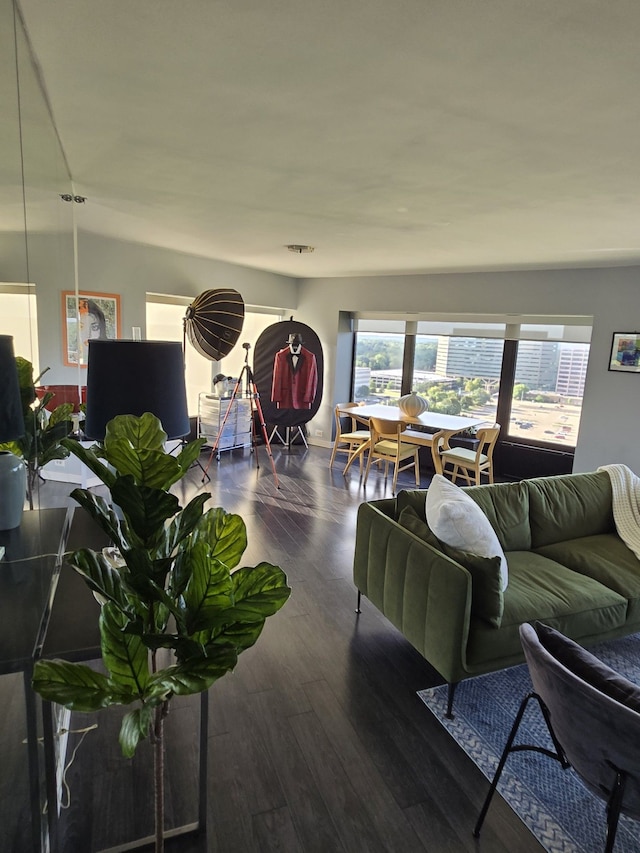 living room featuring dark hardwood / wood-style flooring and lofted ceiling