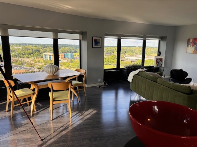 dining area with dark hardwood / wood-style flooring