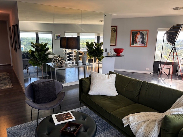 living room featuring wood-type flooring