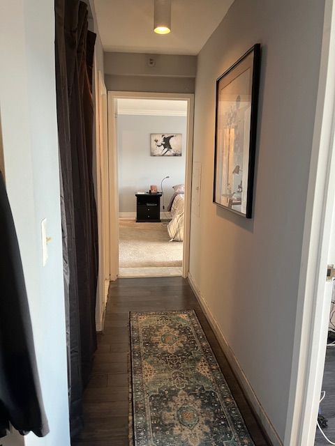 hallway featuring dark hardwood / wood-style flooring