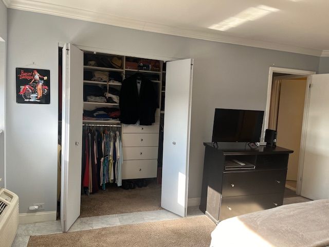 bedroom featuring crown molding, light carpet, and a closet