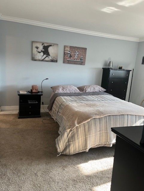 bedroom featuring carpet floors and ornamental molding