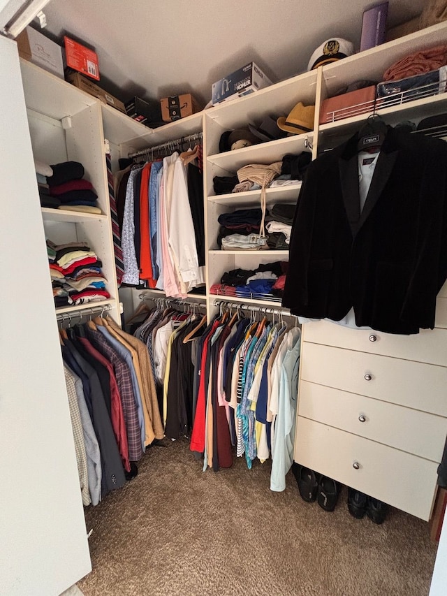 spacious closet with carpet