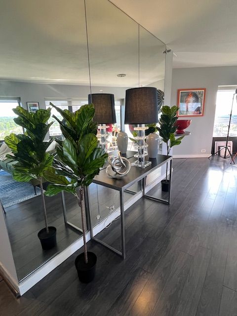 dining area with dark hardwood / wood-style flooring and a healthy amount of sunlight