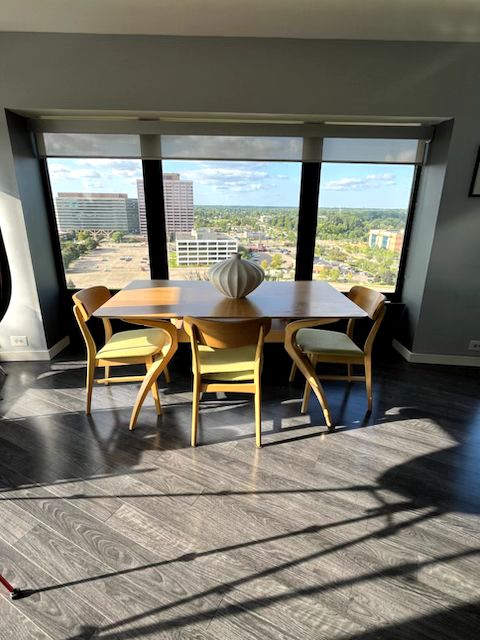 dining room with wood-type flooring and a wealth of natural light