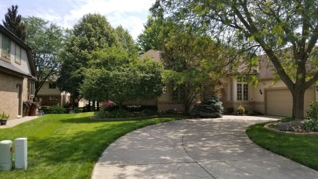 48280 Elmwood Dr, Shelby Twp, MI 48315 - view of home's community featuring concrete driveway, a lawn, and a garage