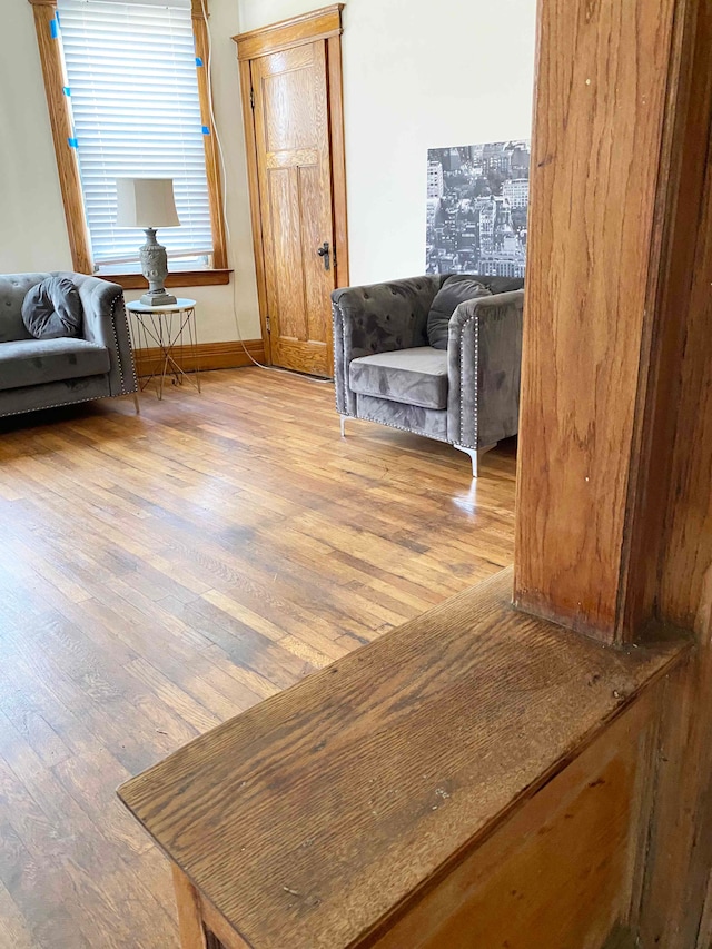 living area featuring wood-type flooring