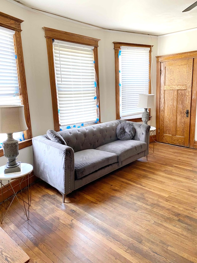 living room with wood-type flooring