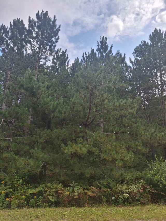 LAND99 Breezewood Dr, Mancelona, MI 49659