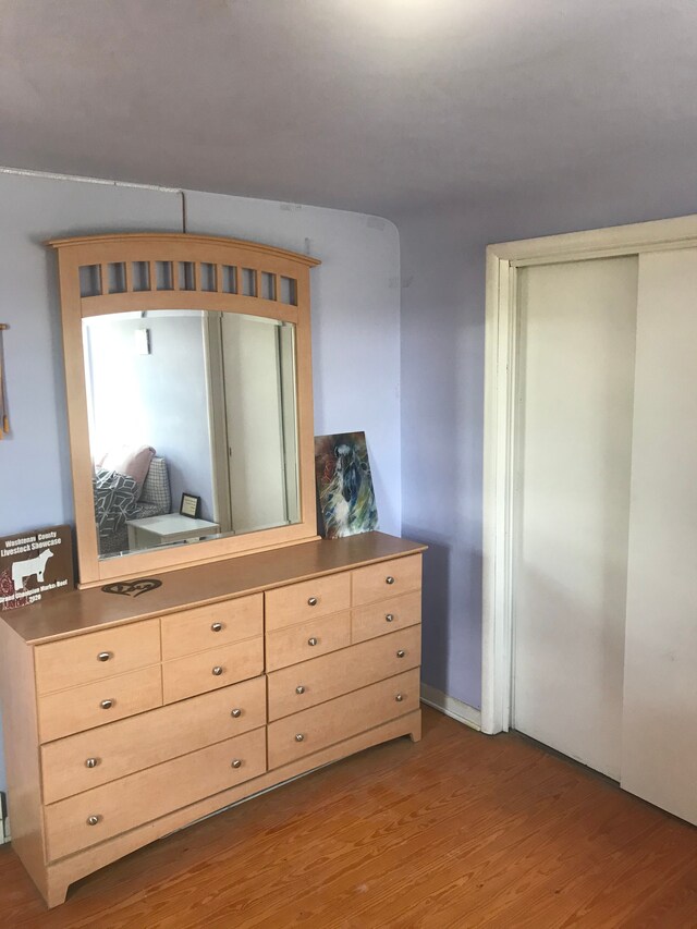 8620 Scio Church Rd, Ann Arbor, MI 48103 - bedroom with wood finished floors and a closet