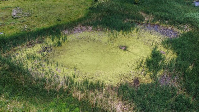 8620 Scio Church Rd, Ann Arbor, MI 48103 - bird's eye view
