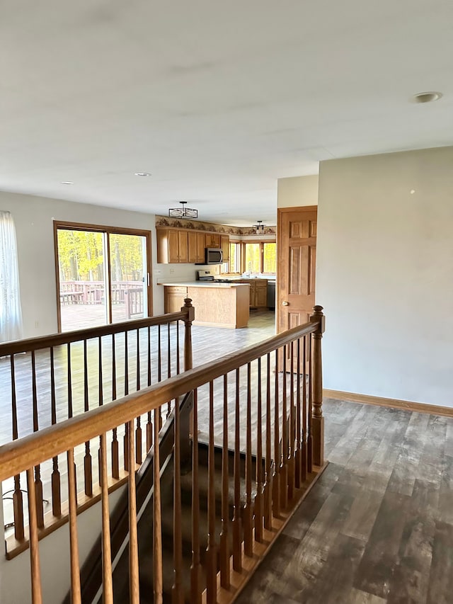 corridor with dark hardwood / wood-style floors