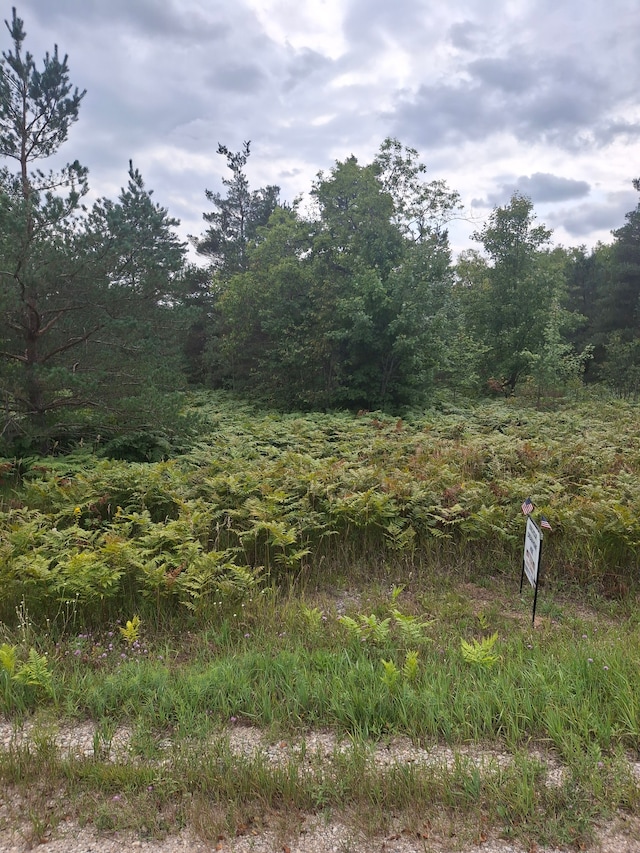 Listing photo 3 for LAND185 Pineview Dr, Mancelona MI 49659