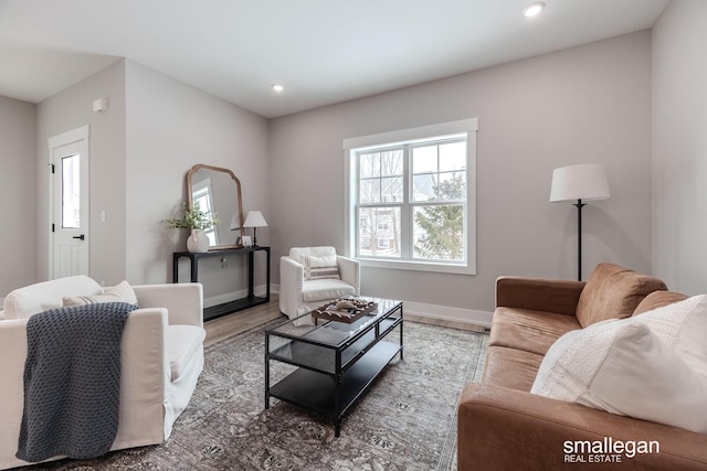 living room with hardwood / wood-style floors