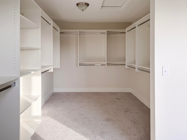 walk in closet featuring carpet flooring