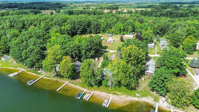 6662 Lorne Dr, Pentwater, MI 49449 - aerial view of property and surrounding area featuring a nearby body of water