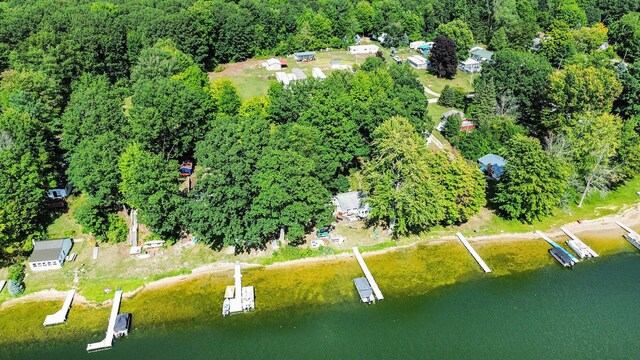 6662 Lorne Dr, Pentwater, MI 49449 - bird's eye view of a nearby body of water and a heavily wooded area