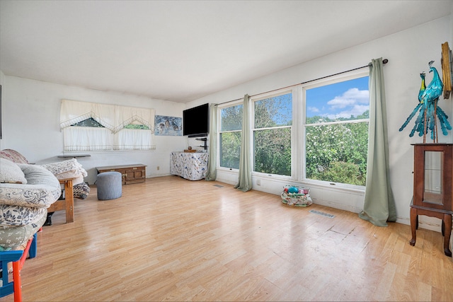 living room with light hardwood / wood-style flooring