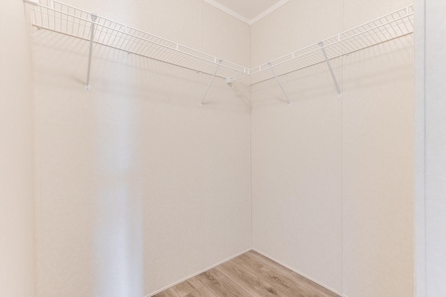 walk in closet featuring hardwood / wood-style floors