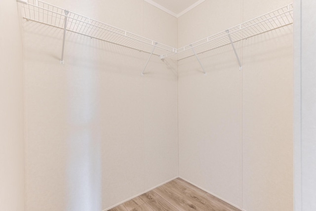 645 N Gallery Dr Unit 98, Eaton Rapids, MI 48827 - walk in closet featuring light wood finished floors
