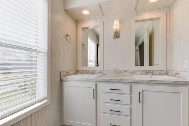 645 N Gallery Dr Unit 98, Eaton Rapids, MI 48827 - bathroom with plenty of natural light and double vanity