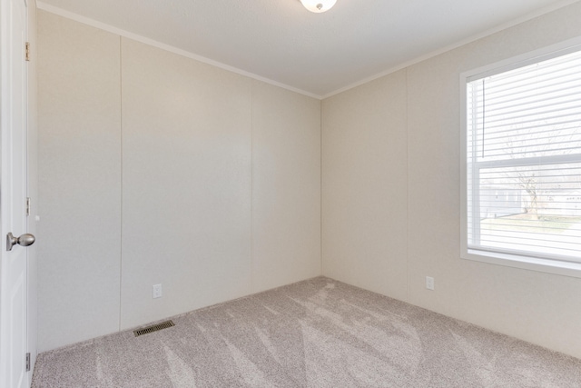 spare room with light carpet and crown molding