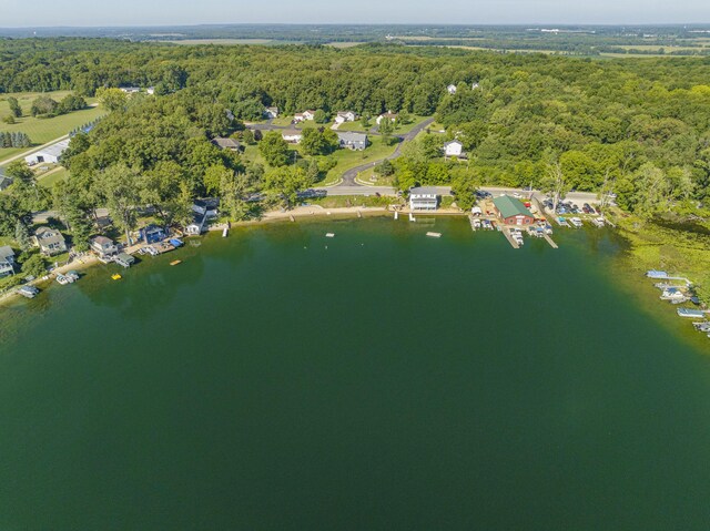 976 Doster Rd, Plainwell, MI 49080 - view of property location featuring a heavily wooded area and a nearby body of water