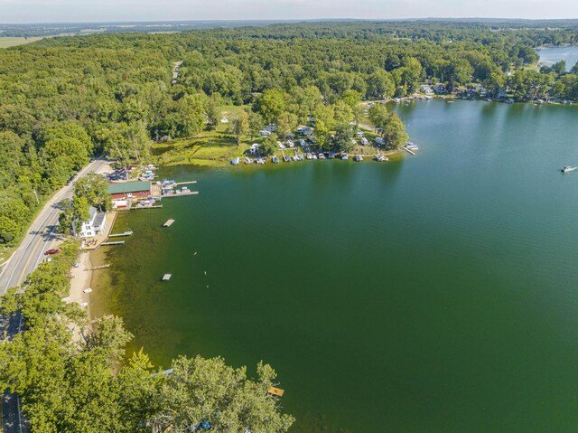 976 Doster Rd, Plainwell, MI 49080 - aerial view of property's location with a forest and a nearby body of water