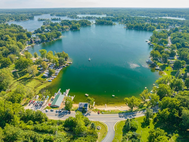 drone / aerial view with a water view