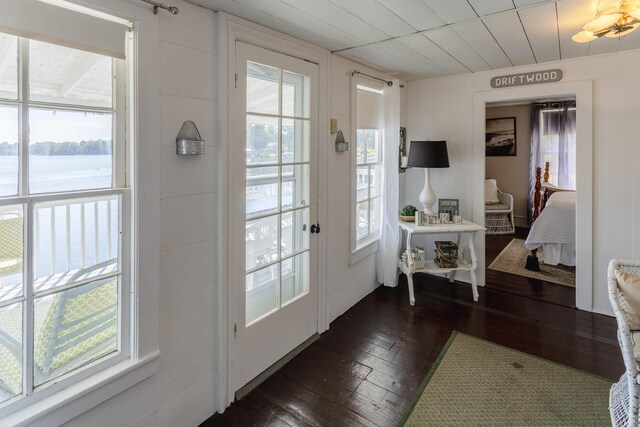 976 Doster Rd, Plainwell, MI 49080 - entryway featuring dark wood-style flooring, plenty of natural light, and a water view