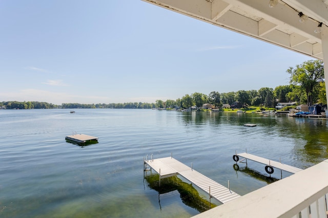 dock area with a water view