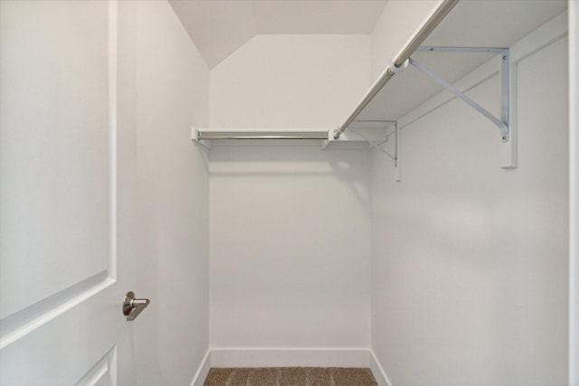 spacious closet with lofted ceiling and carpet flooring