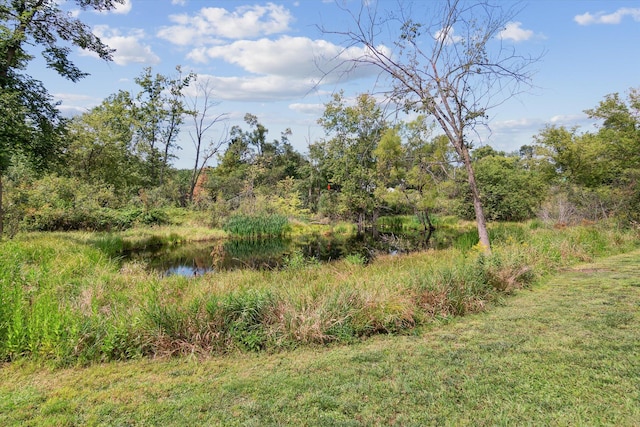 view of nature featuring a forest view