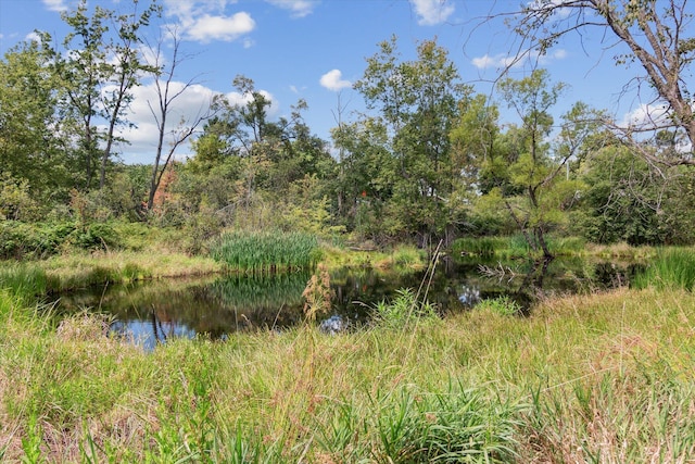 view of landscape with a water view