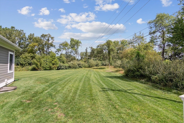 view of yard