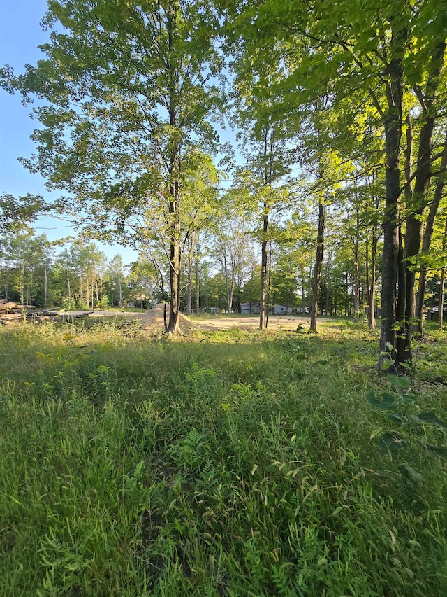 Listing photo 3 for LOT260 Ottawa Trl, Buckley MI 49620