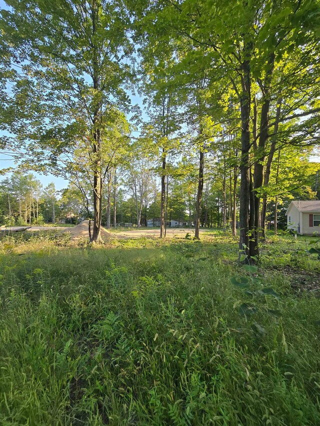 Listing photo 2 for LOT260 Ottawa Trl, Buckley MI 49620