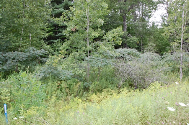 0 Laporte Rd, Alger MI, 48610 land for sale