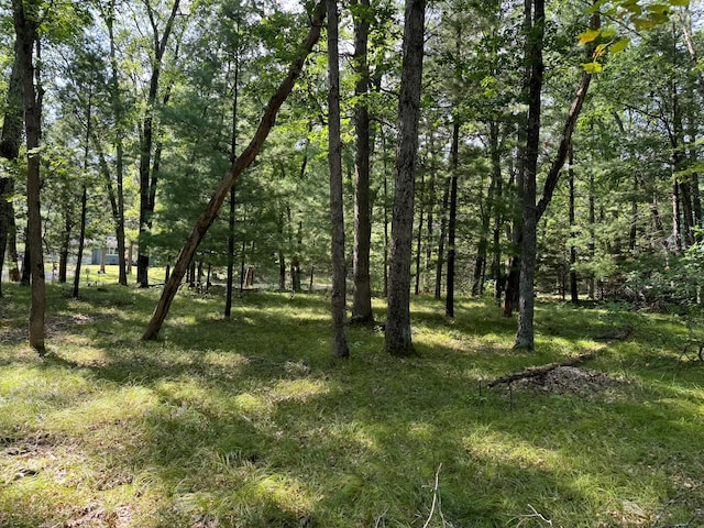 view of local wilderness