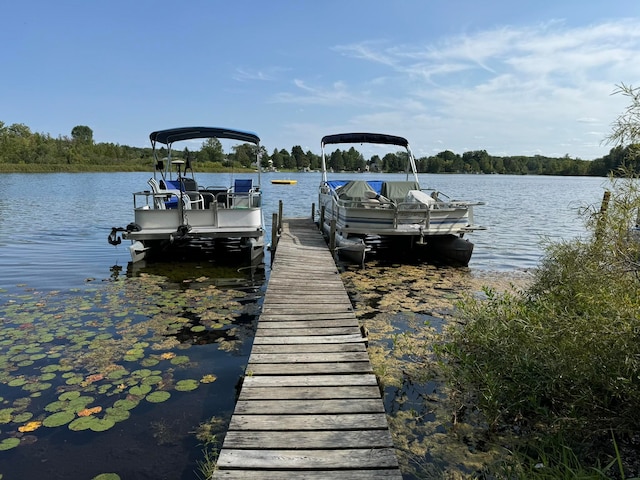 dock area featuring a water view