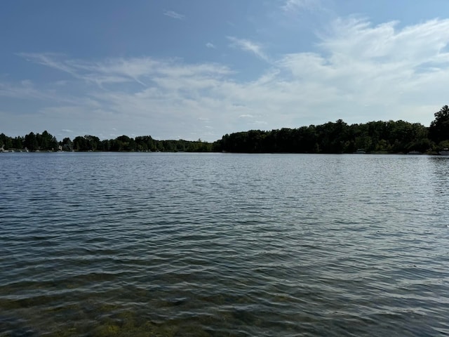 view of water feature