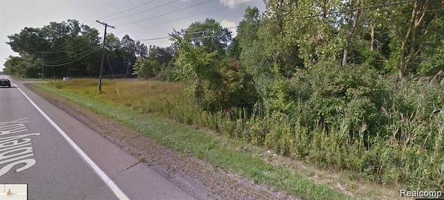 VAC Sibley Rd, Brownstown, MI 48174 - photo 2
