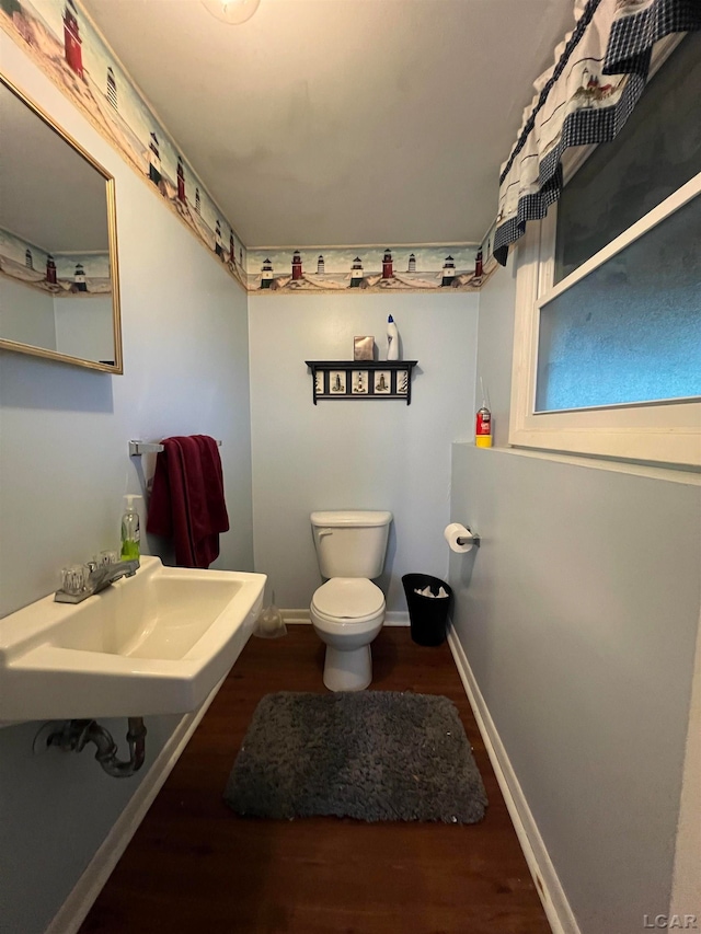 bathroom featuring wood-type flooring, toilet, and sink