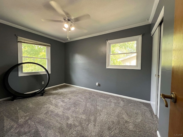 carpeted spare room featuring ceiling fan, ornamental molding, and a wealth of natural light