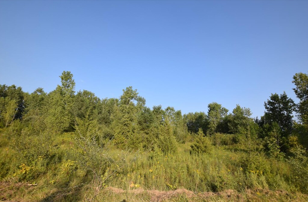 8498 Duffield Rd, Flushing, MI 48433