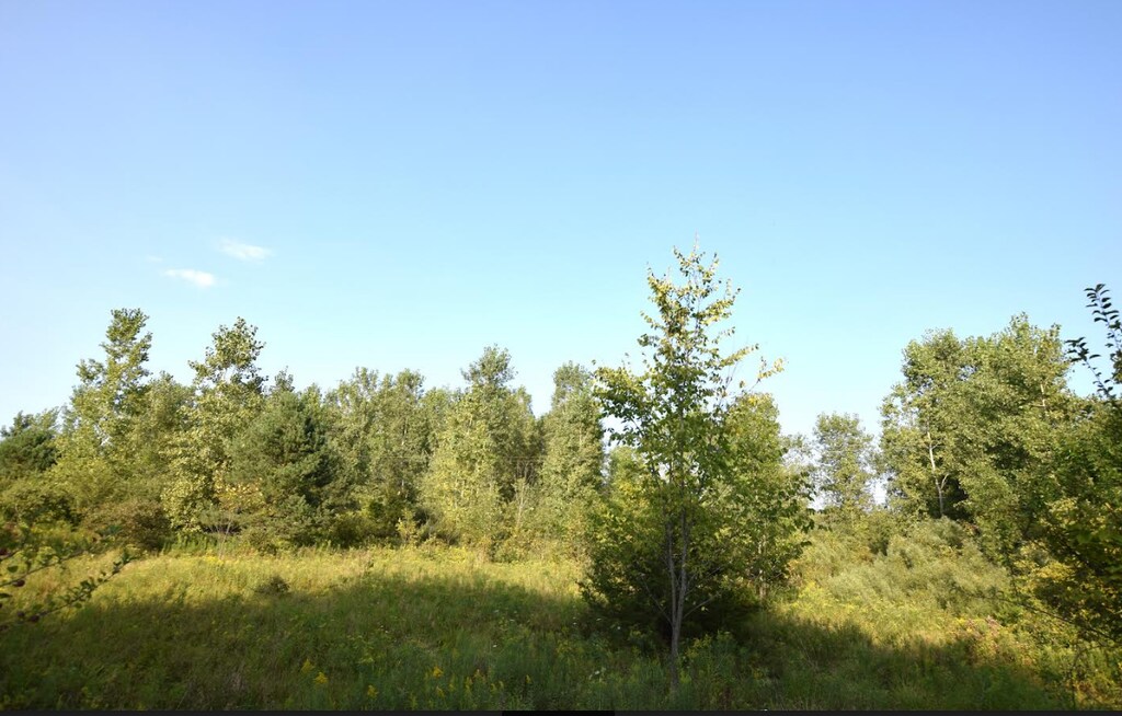 8498 Duffield Rd, Flushing, MI 48433