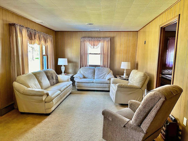 carpeted living room with wooden walls and plenty of natural light