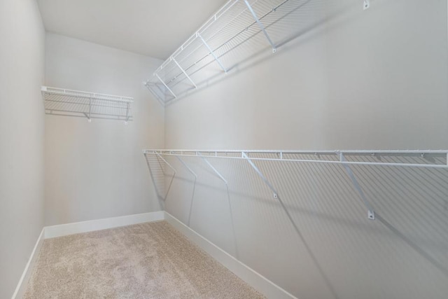 walk in closet featuring carpet