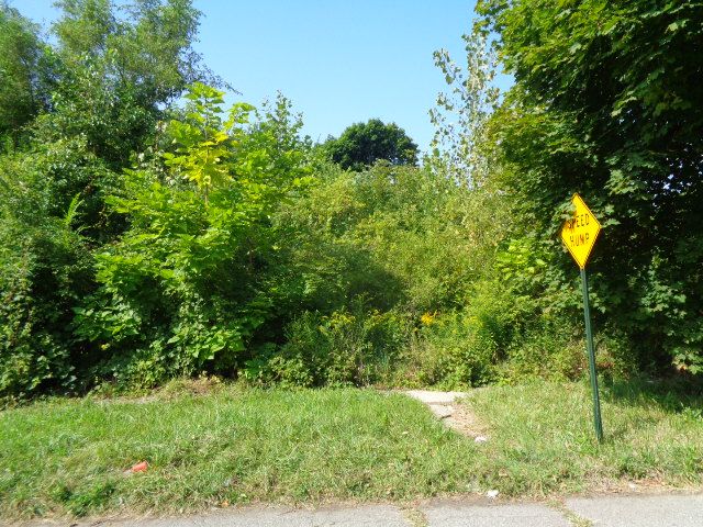 2143 Helen St, Detroit, MI 48207 - photo 4