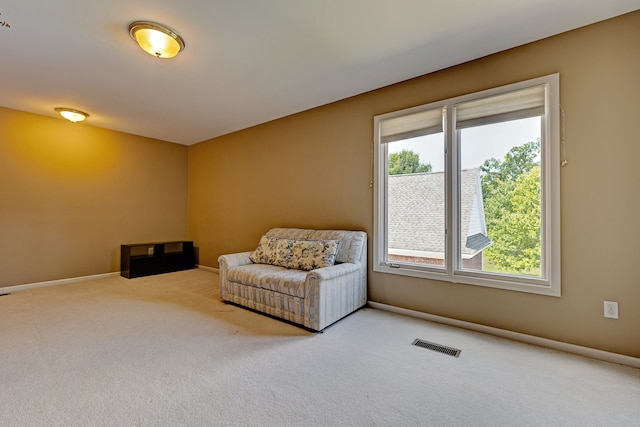 living area with carpet floors